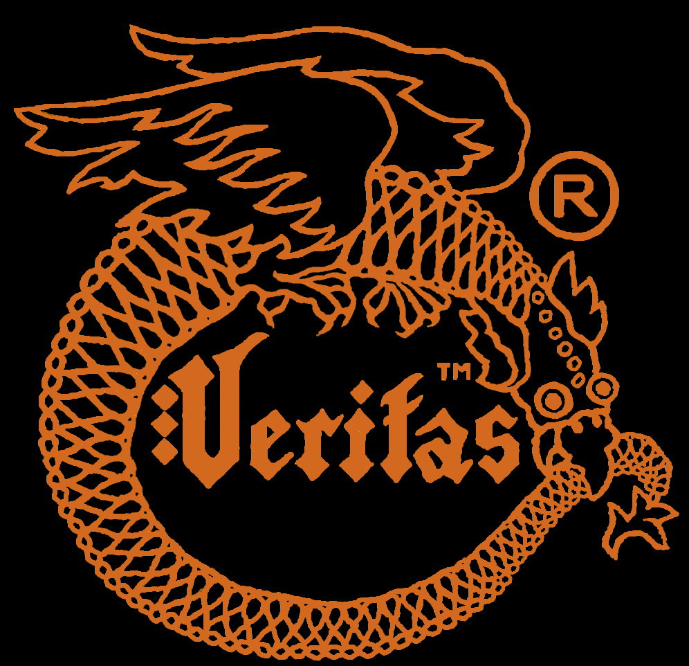 Veritas-Electric-Logo