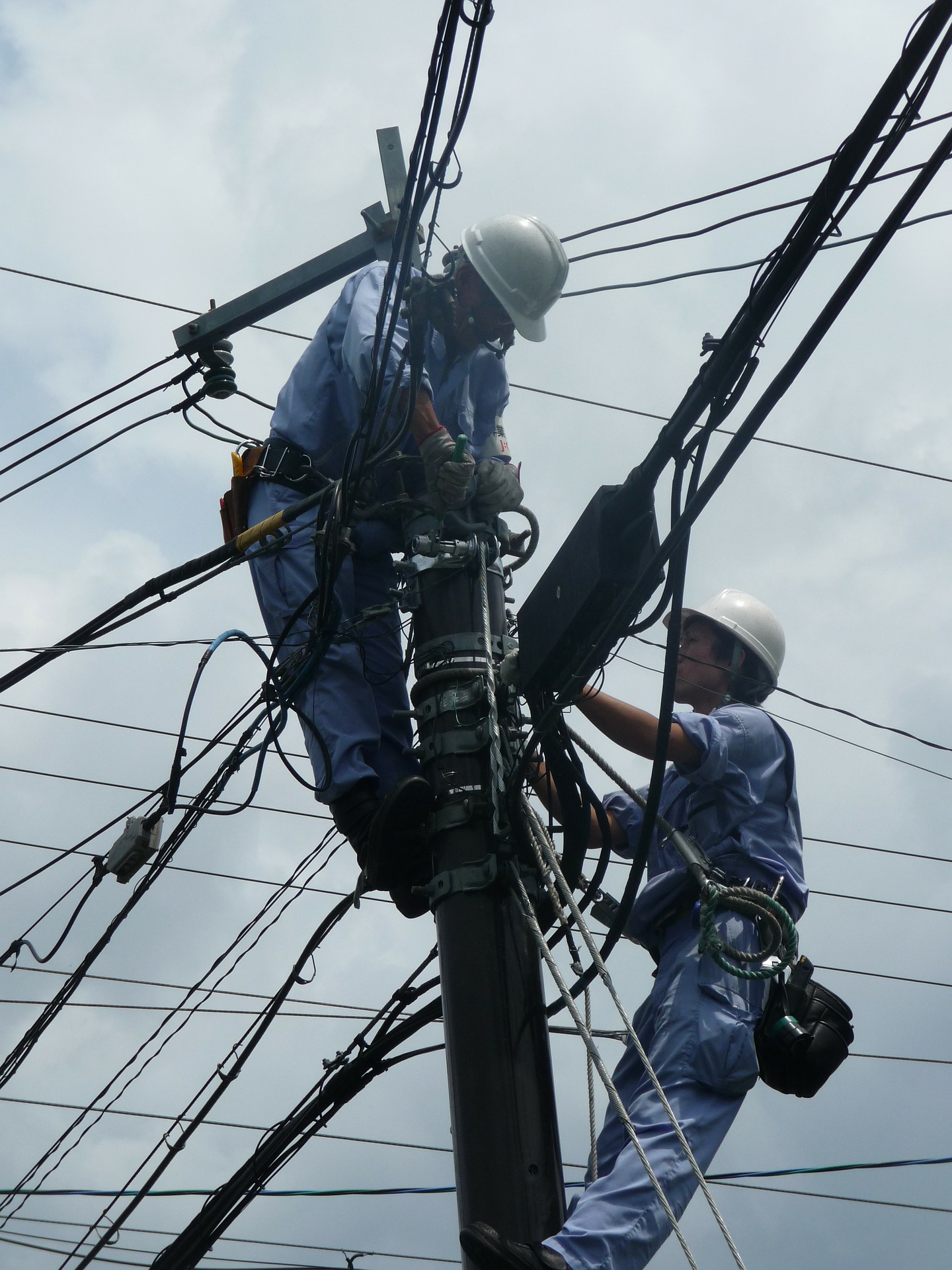 Licensed Electricians